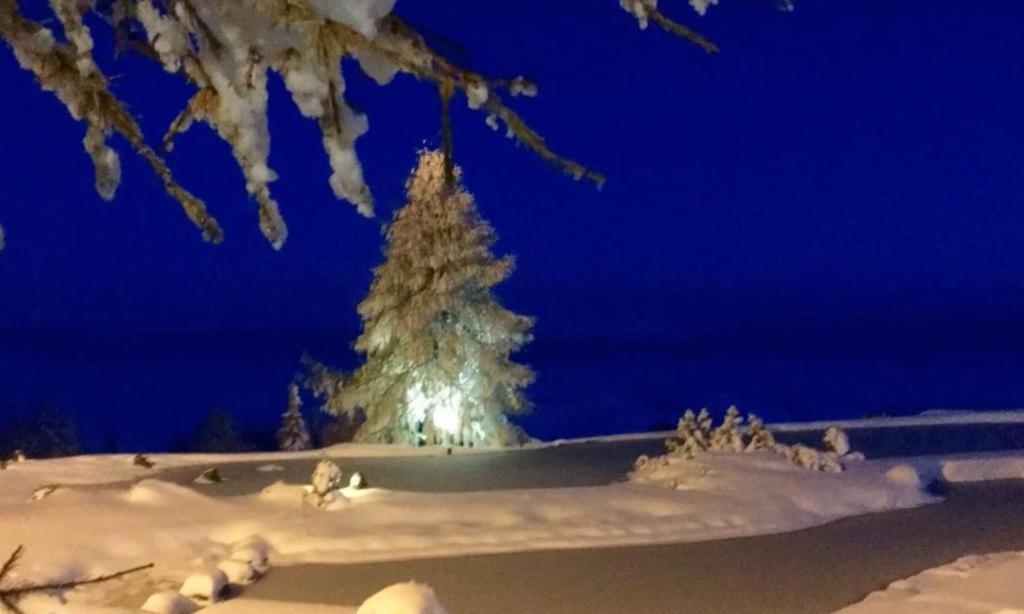 Appartement Mountain Lake マウラッハ エクステリア 写真